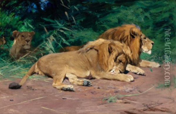 Ruhende Lowen (lions At Rest) Oil Painting - Wilhelm Friedrich Kuhnert