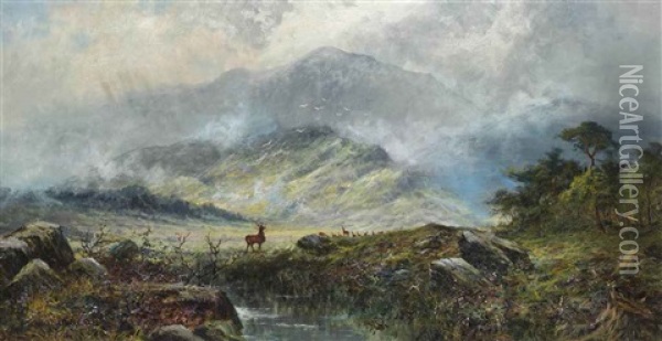 Stags In A Misty Highland Landscape Oil Painting - Charles Stuart