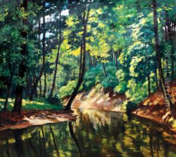 Potok Bela Oil Painting - Antonin Hudecek