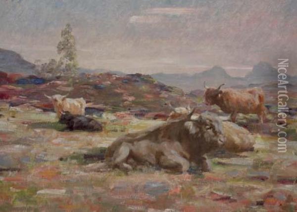 Highland Cattle On The Moor Oil Painting - Andrew Douglas