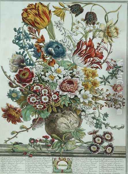 March, from 'Twelve Months of Flowers' Oil Painting - Pieter Casteels