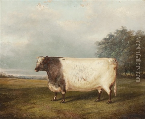 Bull In A Landscape Oil Painting - Albert Clark