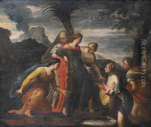 The Finding Of Moses Oil Painting - Giovanni Coli