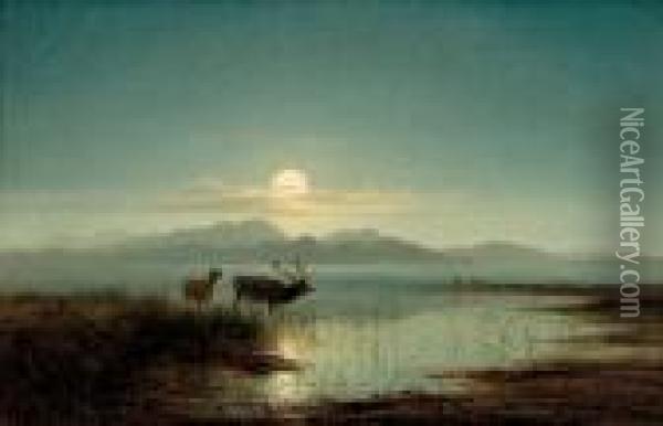 Stag Watering By Moonlight Oil Painting - Arthur Gilbert