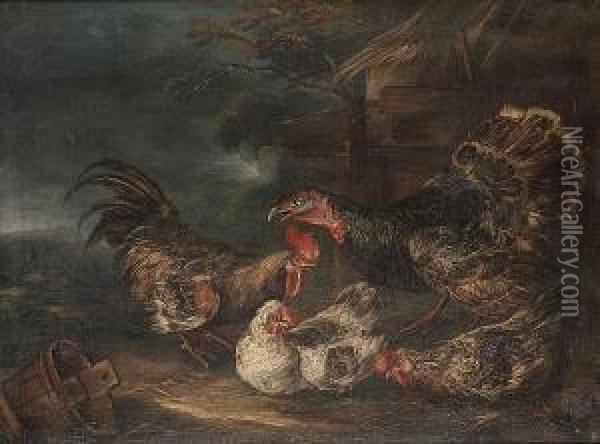A Turkey, Cockerel And Two Hens In A Yard Oil Painting - Angelo Maria Crivelli, Il Crivellone