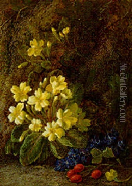 Primroses, Pansies And Rosehips On A Mossy Bank Oil Painting - Vincent Clare