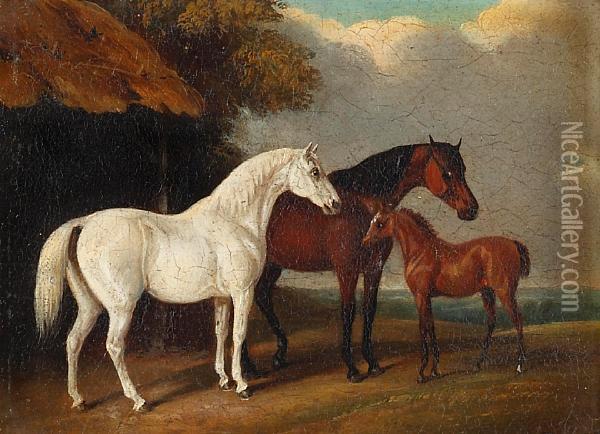 Horses Before A Landscape, And Another Similar A Pair Oil Painting - Edwin M. Fox