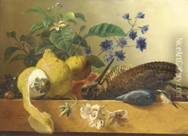 A Snipe, A Kingfisher, Lemons And Flowers On A Ledge Oil Painting - Georgius Jacobus J. Van Os