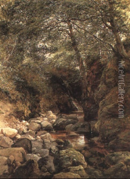 The Stream In June Oil Painting - John Middleton
