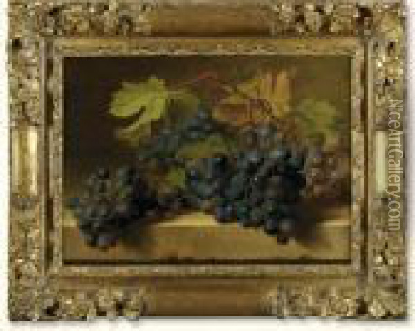 Black Grapes On A Marble Edge Oil Painting - Gerard Van Spaendonck