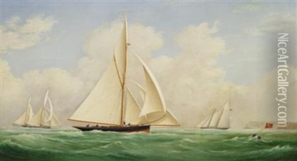 The Royal Yacht Squadron Cup Race Oil Painting - James Edward Buttersworth
