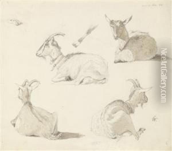 A Study Sheet With Four Goats Oil Painting - Carl Wagner