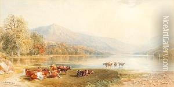Cattle Resting By A Lake Oil Painting - Cornelius Pearson