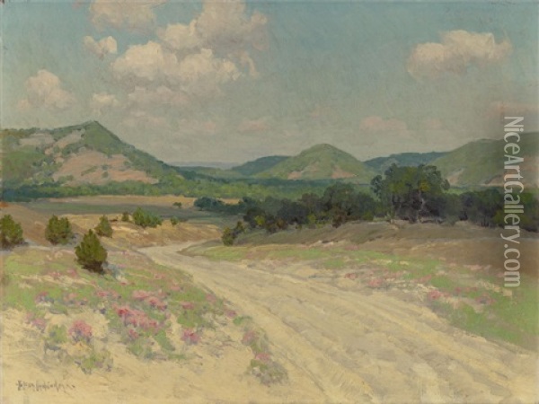 Adobe Road And Wild Quinine, Williams Ranch, Medina Oil Painting - Julian Onderdonk