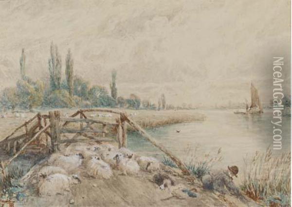 A Young Shepherd With His Flock On A Riverbank Oil Painting - Myles Birket Foster