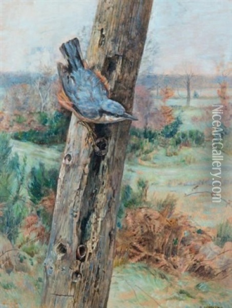 Sittelle Torchepot Oil Painting - Edouard Paul Merite