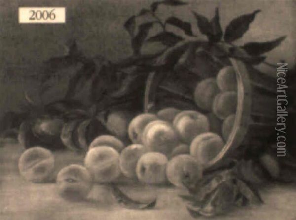 Still Life Of Peaches Spilled From A Basket Oil Painting - August Laux