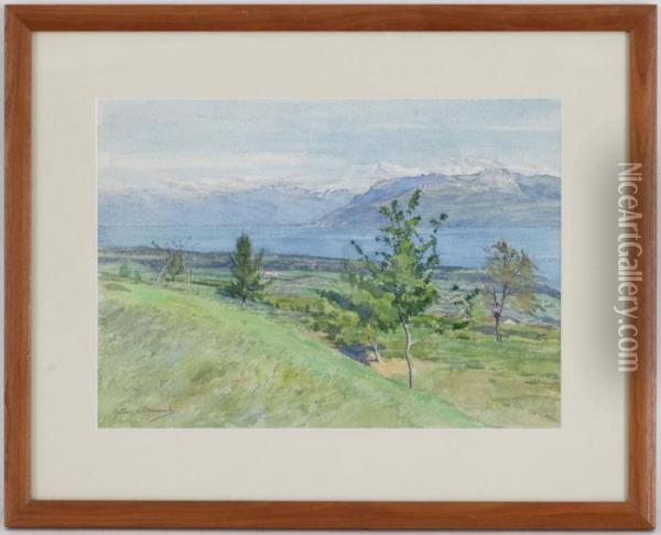 Vue Du Lac Leman Oil Painting - Gustave de Beaumont