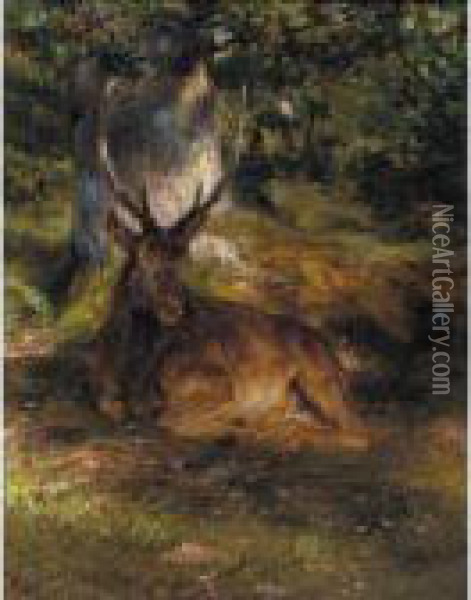 The Stag At Rest Oil Painting - Rosa Bonheur