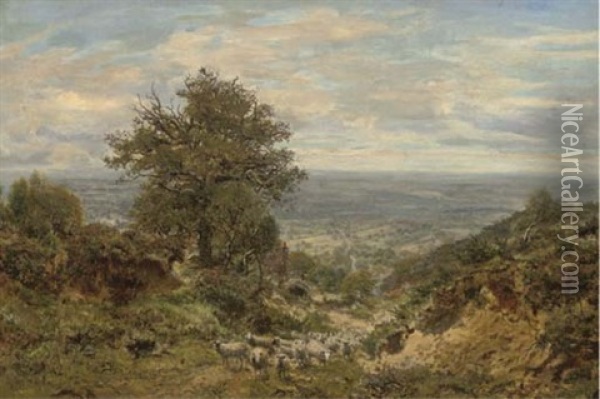 Coneyhurst Hill, Surrey Oil Painting - George William Mote