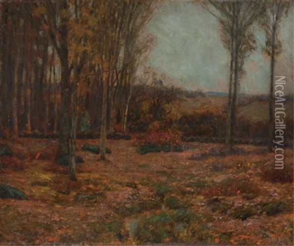 Brown Uplands Oil Painting - Edward Parker Hayden