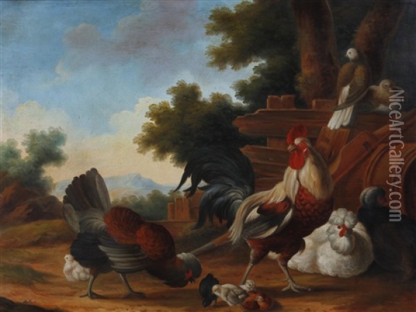 Exotic Birds In A Landscape (pair) Oil Painting - Marmaduke Cradock