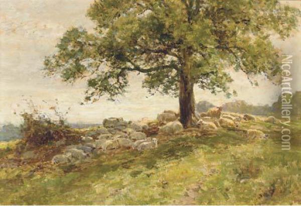 Sheep Under A Tree Oil Painting - Ernst Walbourn