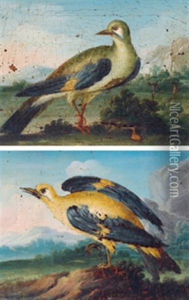 Vogel (+ Another Similar; Pair) Oil Painting - Felice Boselli