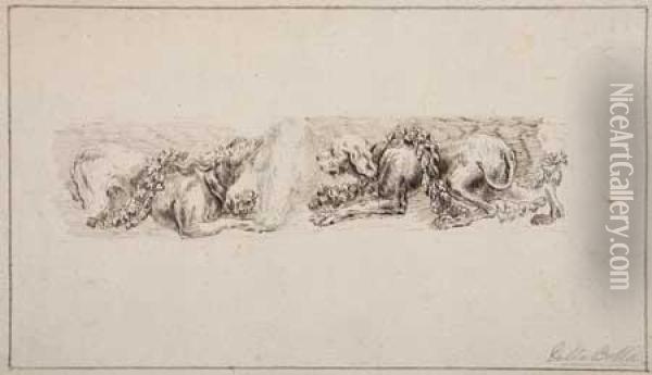 Study Of Two Dogs And A Boar's Head Oil Painting - Stefano della Bella