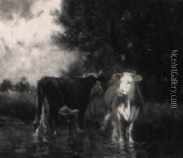 Cattle Standing In A Stream Oil Painting - Emile van Marcke de Lummen