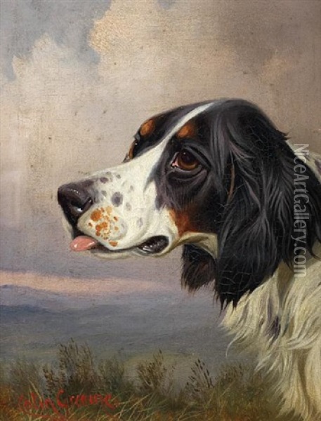 A Head Of A Setter In A Landscape Oil Painting - Colin Graeme