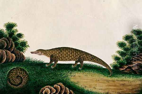 The Pangolin of Malacca, Tingieling (Malay) from 'Drawings of Animals, Insects and Reptiles from Malacca', c.1805-18 Oil Painting - Anonymous Artist