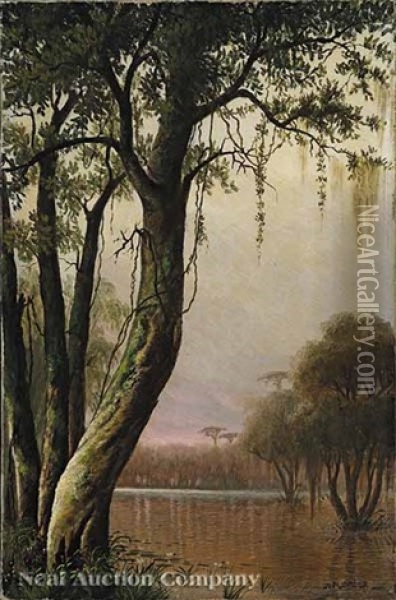Cypress On The Bayou Oil Painting - Joseph Rusling Meeker