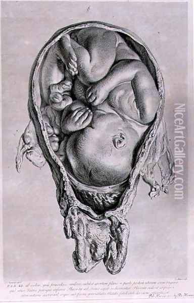 Anatomical drawing of a foetus in the womb, engraved by Francois Simon Ravenet 1706-74 pub. 1774 Oil Painting - Jan van Rymsdyk