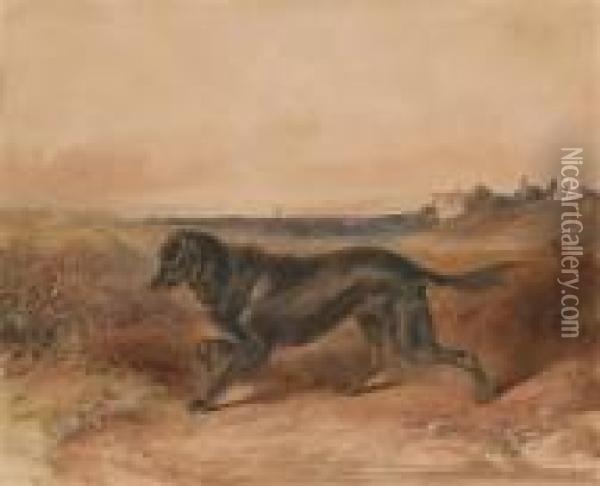 Streunenderhund Oil Painting - Johann Matthias Ranftl