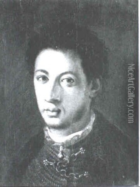 Portrait Of Alessandro De Medici Oil Painting -  Bronzino