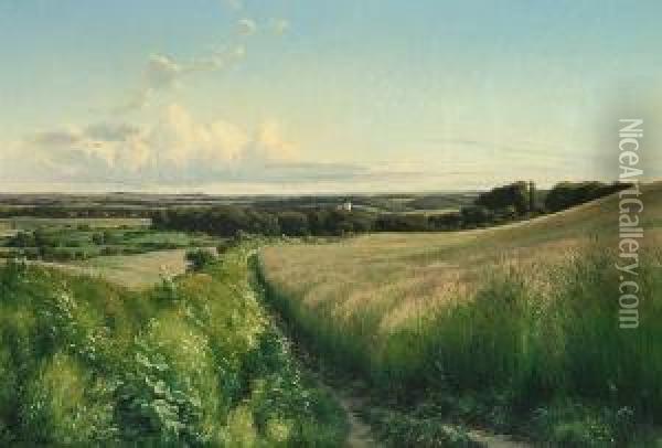 Landscape From The Eastern Part Of Jutland, Denmark Oil Painting - Johannes Boesen