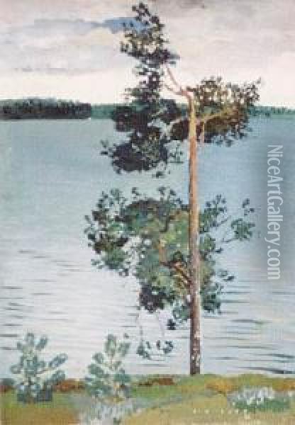 Samotna Sosna Nad Jeziorem (1936) Oil Painting - Karol Hiller