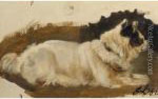 Study Of A Chow Oil Painting - Landseer, Sir Edwin