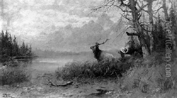 Two Elks In A Mountain Landscape Oil Painting - John Fery