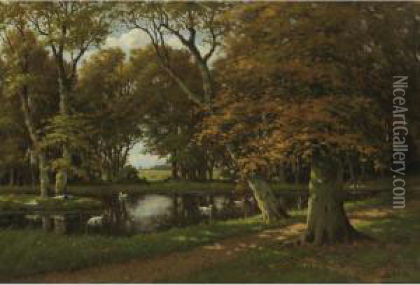 Ducks On A Pond In A Wooded Landscape Oil Painting - Adriaan Marinus Geijp