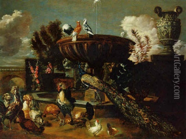 A Peacock, Cockerels, Hens, Turtle Doves And Other Birds By A Fountain In An Ornamental Garden Oil Painting - Pieter Boel