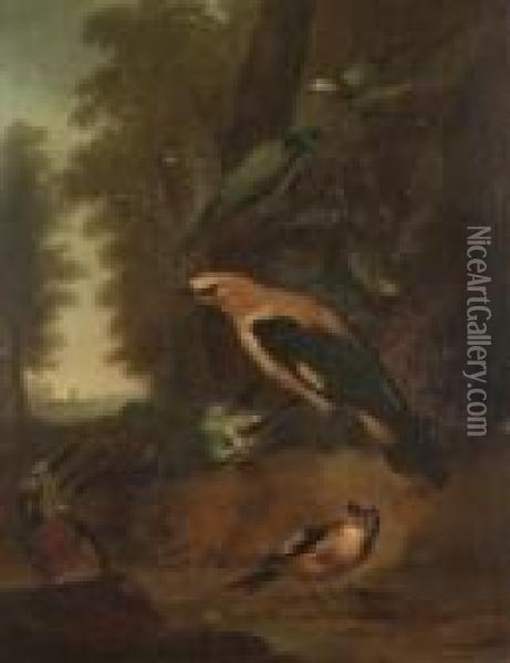A Golden Oriel, A Kingfisher, A Blue Tit, A Goldfinch And Wagtails On A Forest Floor Oil Painting - Aert Schouman