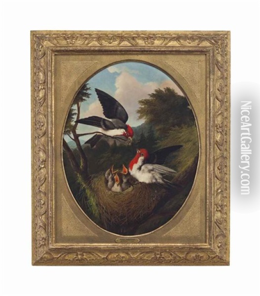 Red Crested Birds With Youth Oil Painting - Michelangelo Meucci