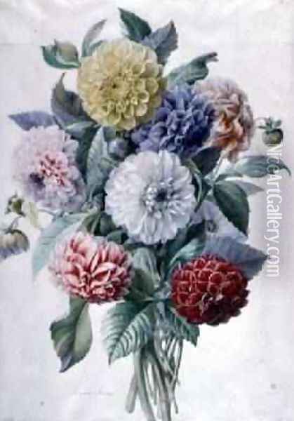 Dahlia Oil Painting - Marie-Anne
