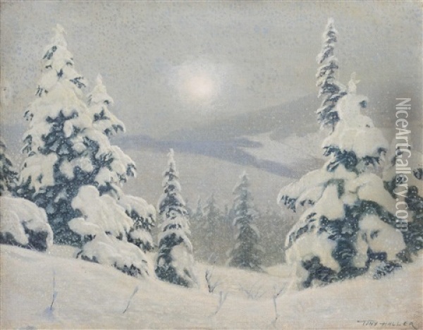 Waldrand In Der Wintersonne Oil Painting - Hans Sterbik