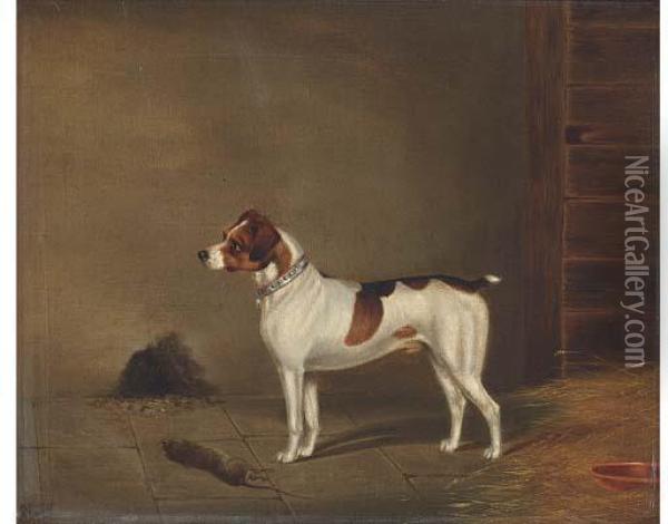 Success, A Terrier Oil Painting - Edwin Loder