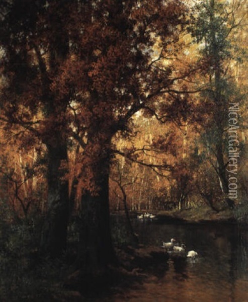 Herbstwald Mit Bach Oil Painting - Adolf Kaufmann