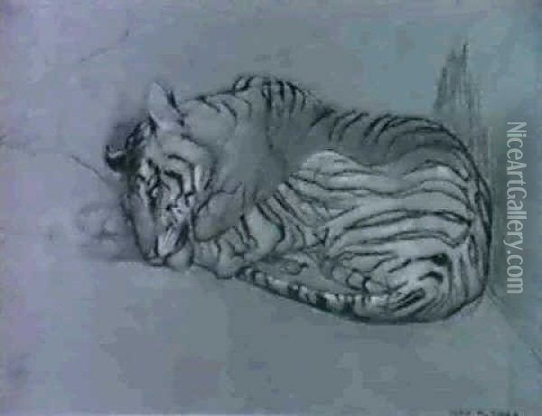 Ruhender Tiger Oil Painting - John Macallan Swan