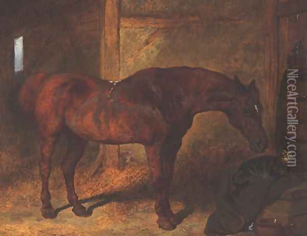 Chestnut Hunter & Cat in Stable Oil Painting - John Frederick Herring Snr